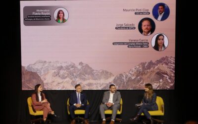 IMPSA participó del Mendoza Energy Summit